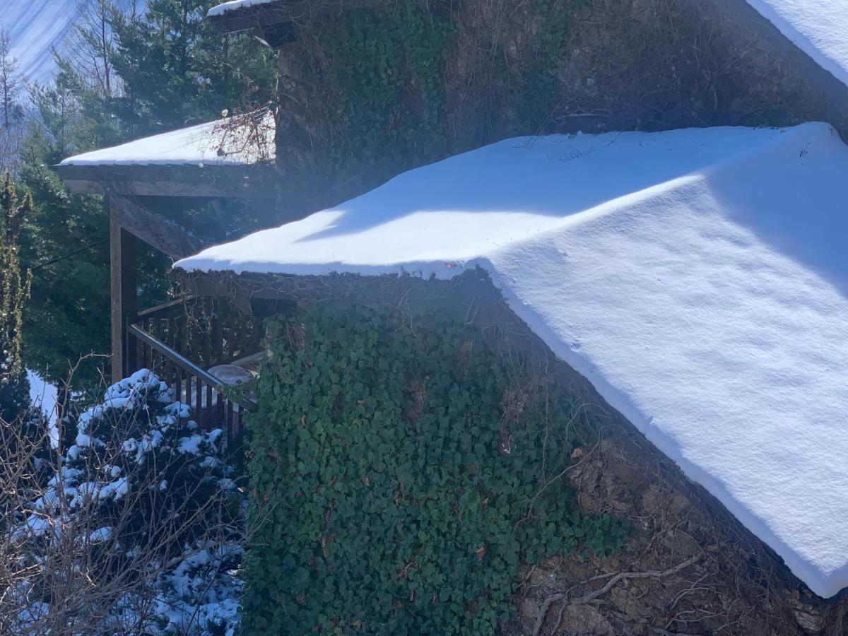 Casa Rural Pirineu Neva Екстер'єр фото